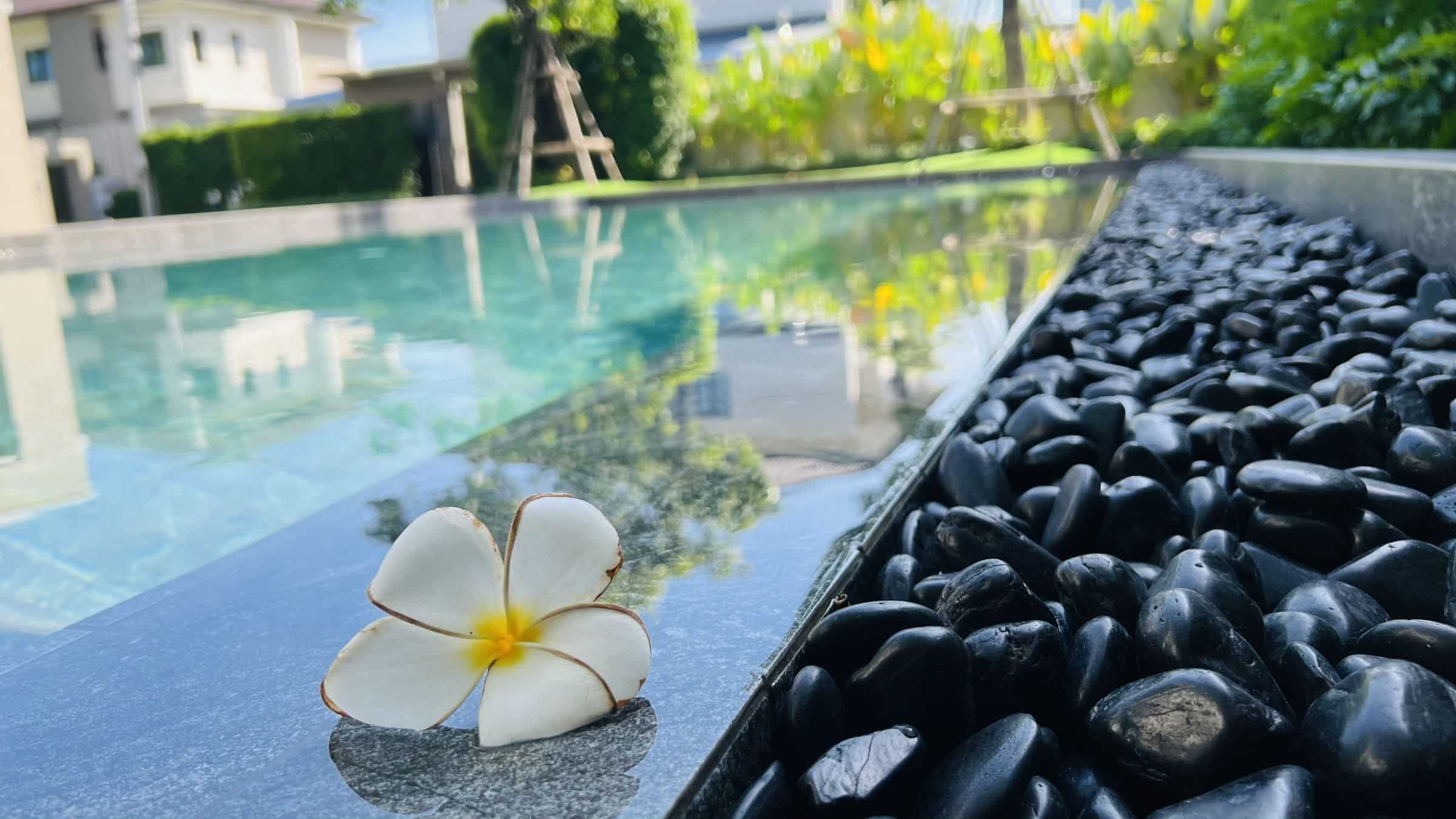 Crystal clear pool water with a frangipani flower resting on the edge